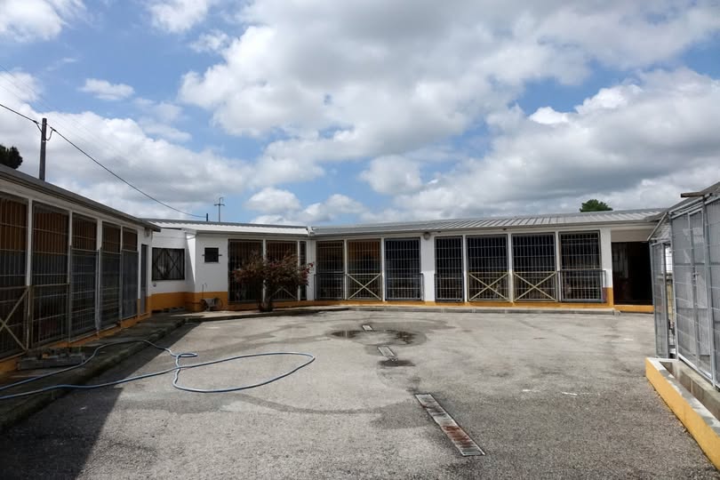 Canil/Gatil Municipal ampliado e reabilitado no valor base de 239.465,88 euros